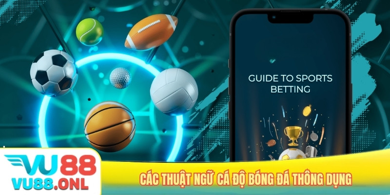 Các thuật ngữ cá độ bóng đá thông dụng