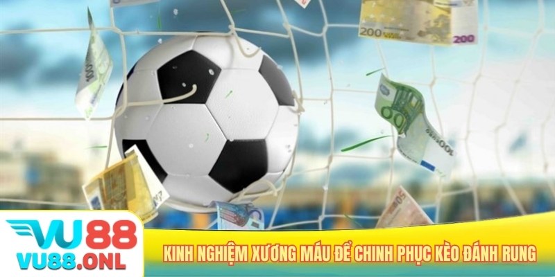 Kinh nghiệm xương máu để chinh phục kèo đánh rung
