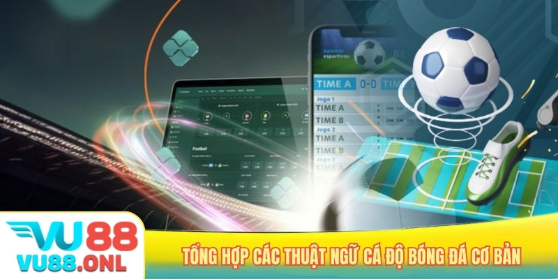 Tổng hợp các thuật ngữ cá độ bóng đá cơ bản
