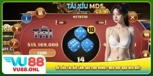 be-cau-tai-xiu-lam-sao-cho-dung-meo-hay-ban-nen-biet