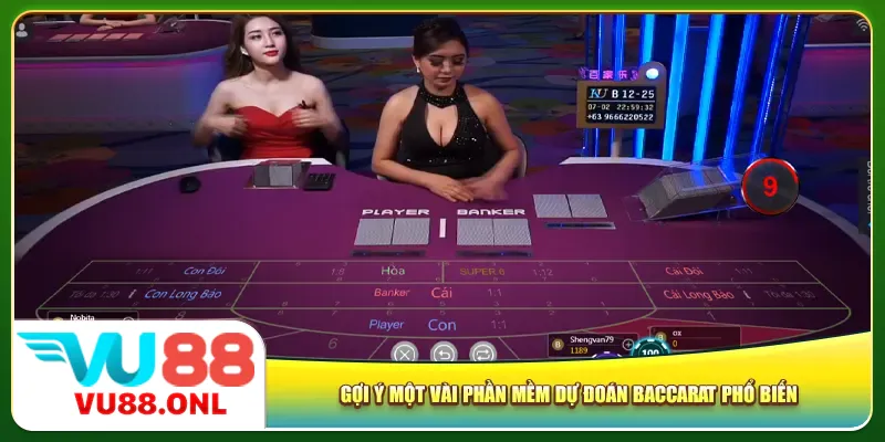 Gợi ý một vài phần mềm dự đoán Baccarat phổ biến